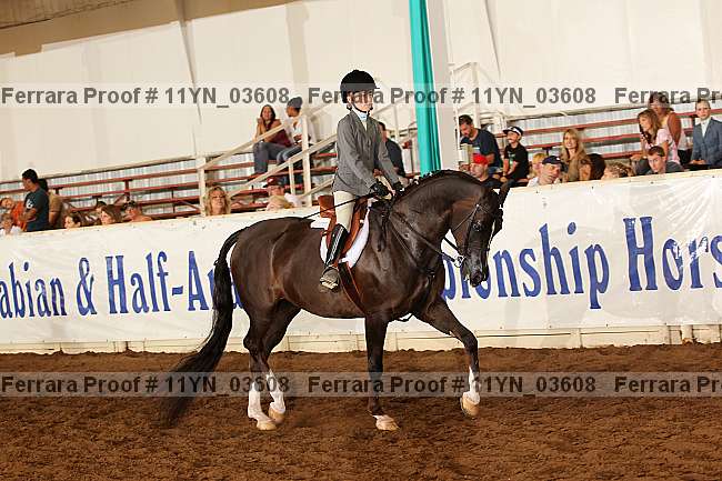 Proof 11yn_03608