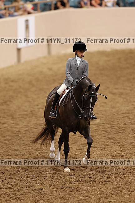 Proof 11yn_31172