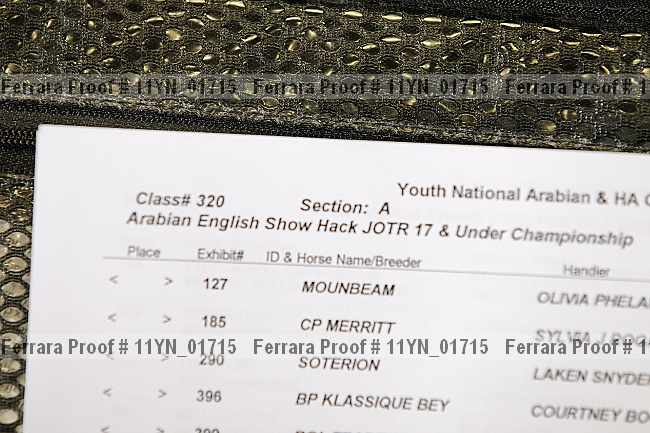 Proof 11yn_01715