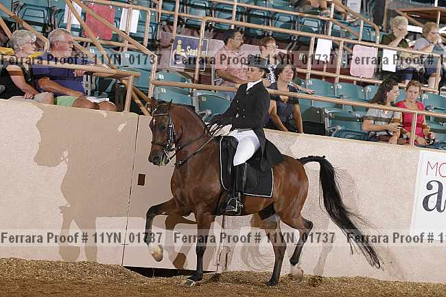 Proof 11yn_01737