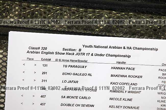 Proof 11yn_02002