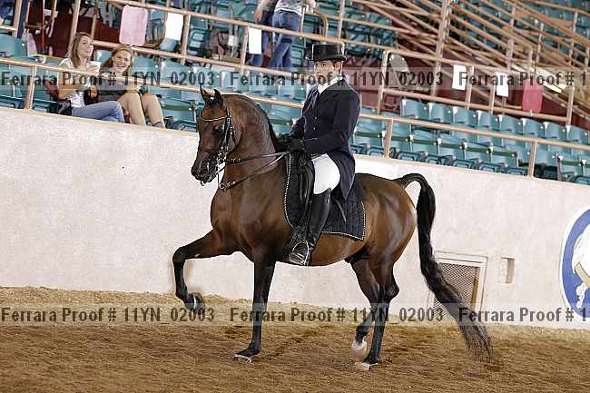 Proof 11yn_02003