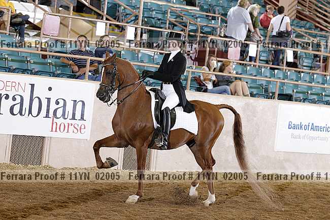 Proof 11yn_02005