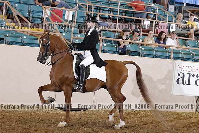 Proof 11yn_02006