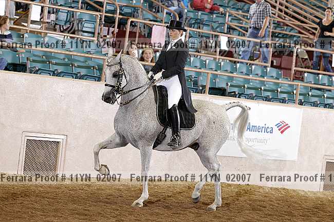 Proof 11yn_02007