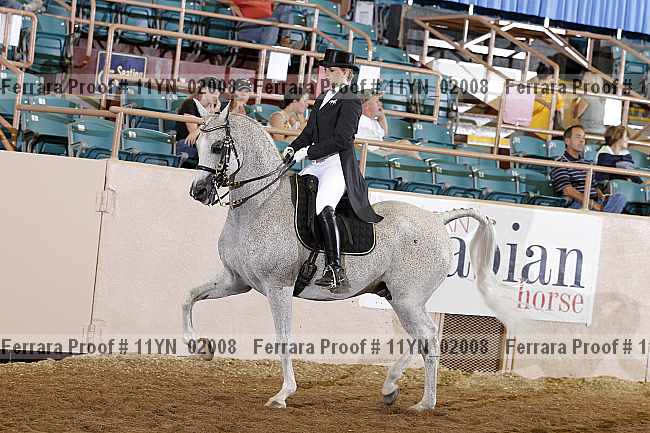 Proof 11yn_02008