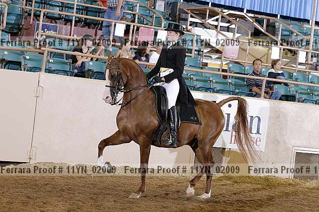 Proof 11yn_02009
