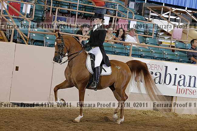 Proof 11yn_02011