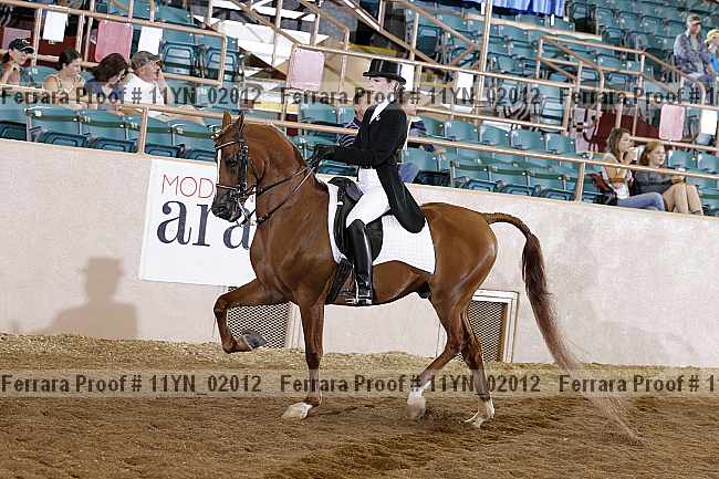Proof 11yn_02012