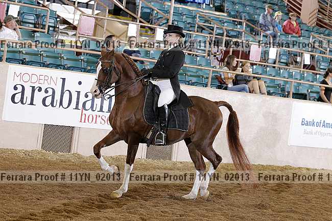 Proof 11yn_02013