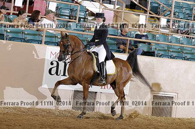 Proof 11yn_02014