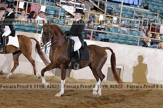 Proof 11yn_02022