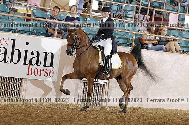 Proof 11yn_02023