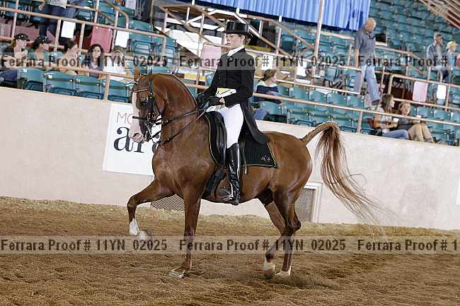 Proof 11yn_02025