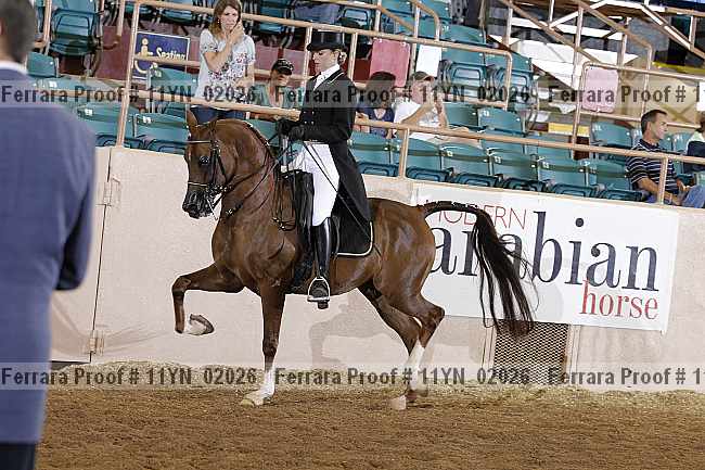 Proof 11yn_02026