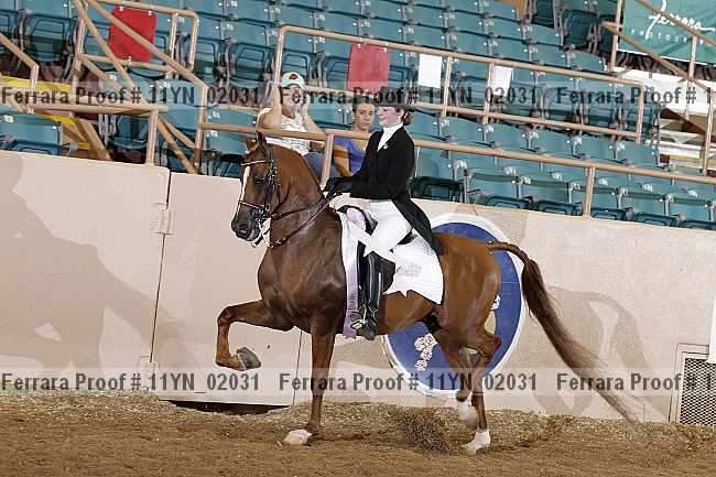 Proof 11yn_02031