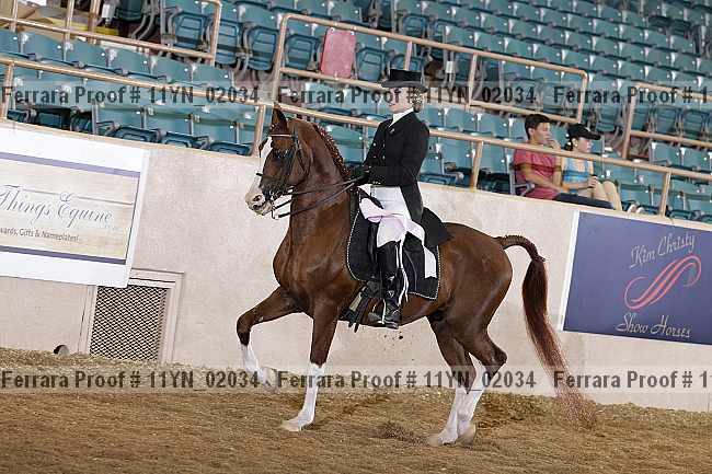 Proof 11yn_02034