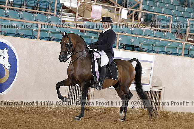 Proof 11yn_02035