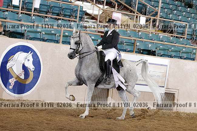 Proof 11yn_02036