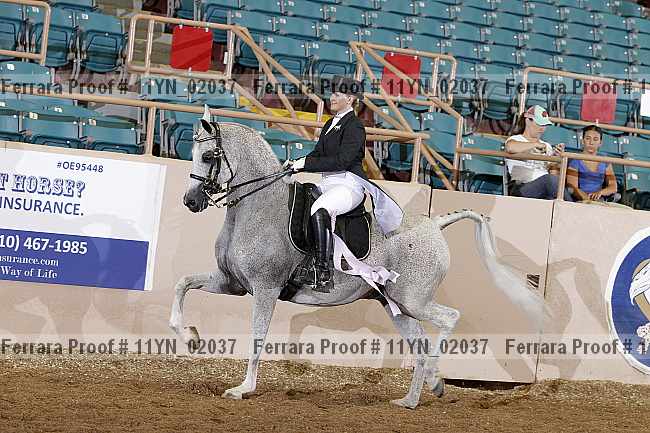 Proof 11yn_02037