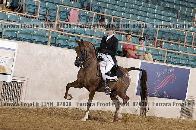 Proof 11yn_02038