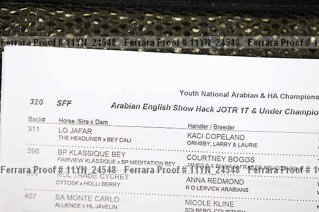 Proof 11yn_24548
