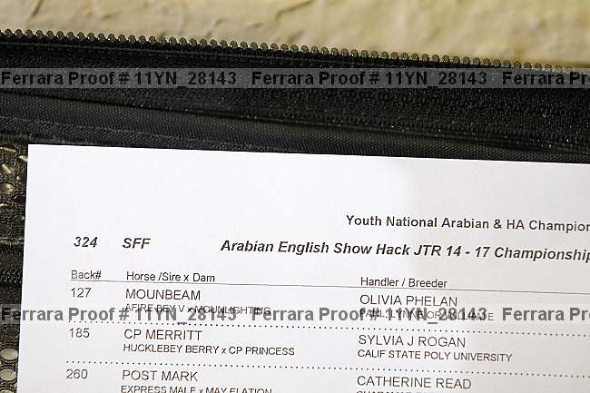 Proof 11yn_28143
