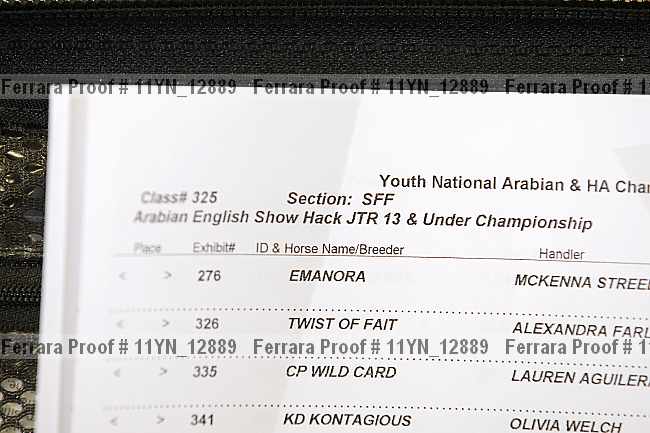 Proof 11yn_12889
