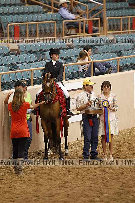 Proof 11yn_13004
