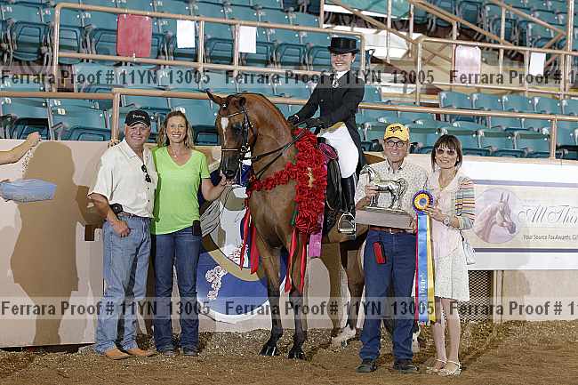 Proof 11yn_13005