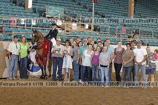 Proof 11yn_13009