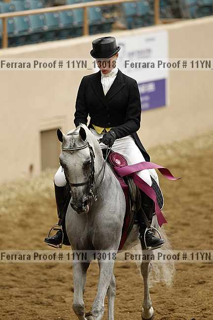 Proof 11yn_13018