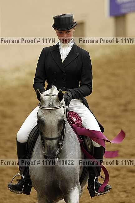 Proof 11yn_13022