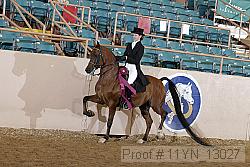 11yn_13027 proof
