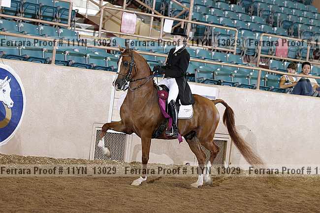 Proof 11yn_13029