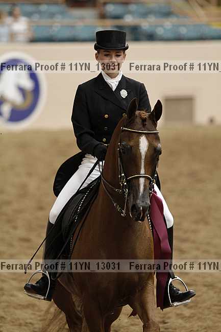 Proof 11yn_13031