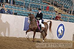 11yn_13037 proof