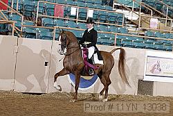 11yn_13038 proof