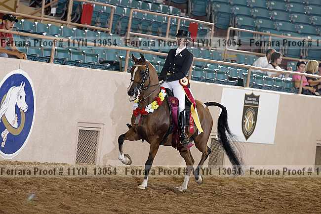Proof 11yn_13054