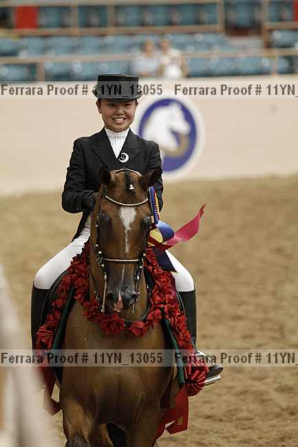 Proof 11yn_13055