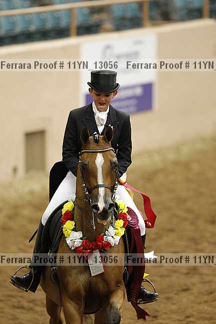 Proof 11yn_13056