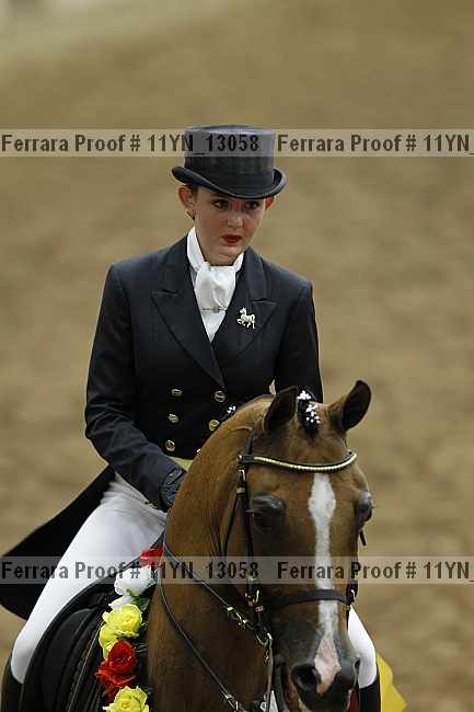 Proof 11yn_13058
