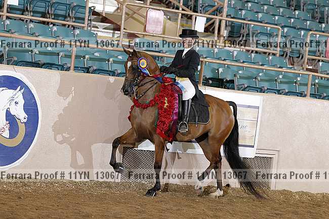 Proof 11yn_13067