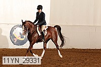 11yn_29331 proof