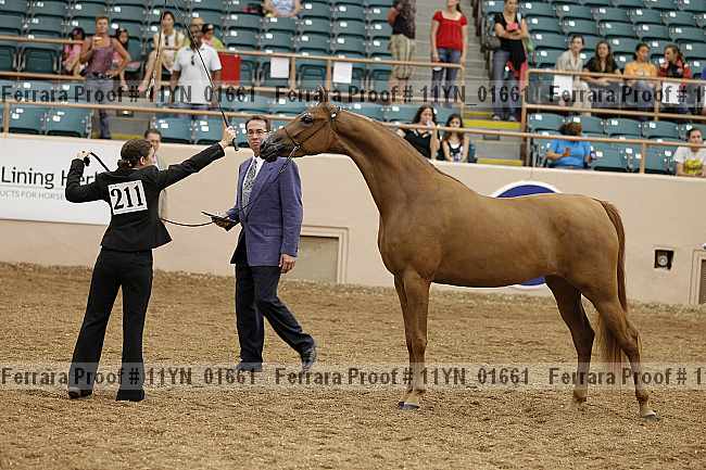 Proof 11yn_01661