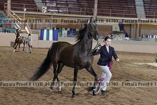 Proof 11yn_01703