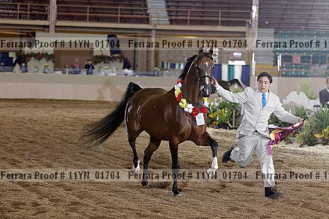 Proof 11yn_01704