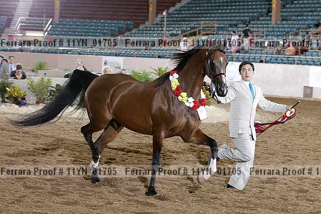 Proof 11yn_01705