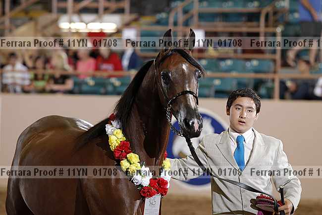 Proof 11yn_01708