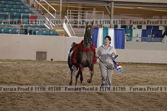 Proof 11yn_01709